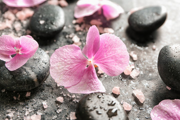 Obraz na płótnie Canvas Spa stones with hydrangea flowers and sea salt on grey background, closeup