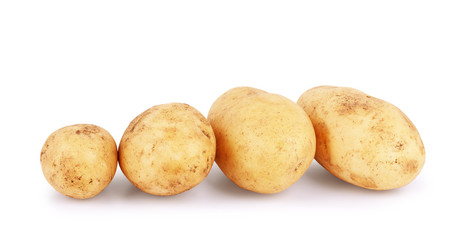 Young potato isolated on white background.