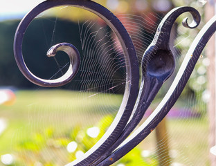 Spider net pattern on forged iron element in sunshine with beautiful natural bokeh background....