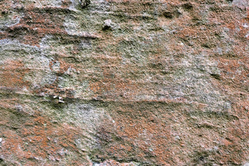 old sand stone lime rock background. textured wall.