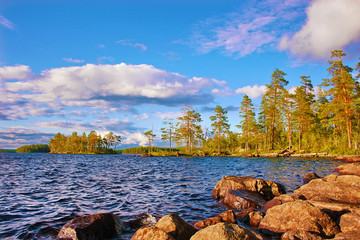 Lanscape with lake and pines Karelia