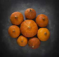 Composition of pumpkins on gray background