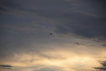 CIELO