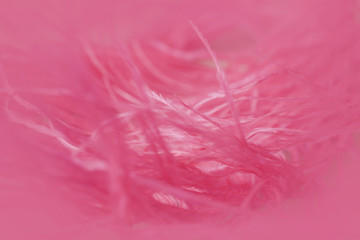 close up of ostrich feathers for background