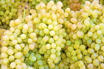 White wine grapes