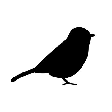 Bird icon, silhouette, logo on white background