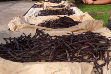 vanille plantation in tahaa island french polynesia © Andrea Izzotti