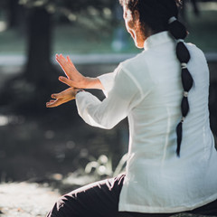 Tai Chi Quan © Microgen