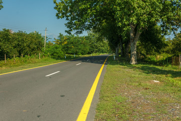 Fototapeta na wymiar Highway asphalt way with green grass and trees.