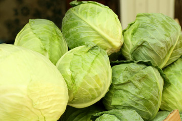 Fresh green cabbages in store