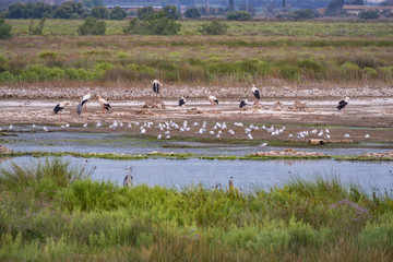 AIguamolls Empordà