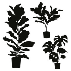 house plant silhouette set