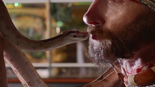 Bearded hipster kissing with snake