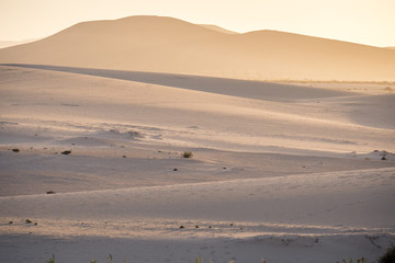 Sandunes Corralejo National Park Corralejo Fuerteventura Canary Islands Spain