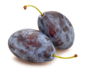 blue plum