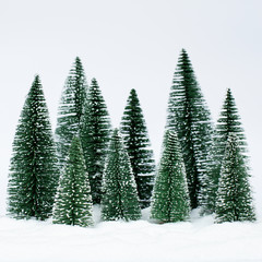Fototapeta premium Christmas trees on the snow in winter. Christmas holiday celebration and new year concept. copy space