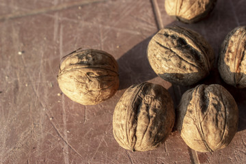 Cropped close-up shoot of batch of walnuts on the bag at sunset time
