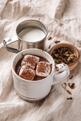 Cup of hot chocolate with marshmallows, milk and spices on napkin