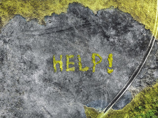 Help! Ecological concept on global warming and burning out of forests and fields