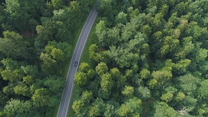 AERIAL, TOP DOWN: Dark colored car driving down an asphalt road crossing the vast forest on a sunny summer day. People on relaxing drive through the idyllic woods in picturesque Slovenian countryside.