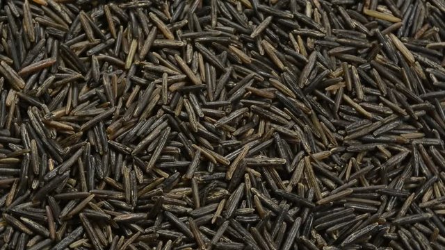 Arroz salvaje, rotando