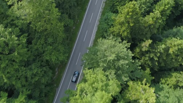 AERIAL, TOP DOWN: Tourists on a relaxing drive through the idyllic dark green forest in the countryside. Car driving down the empty concrete trail running across the vast woods of beautiful Slovenia.