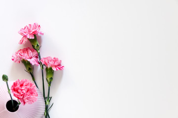 Photo of white background copy space with pink flowers in a vase viewed from above