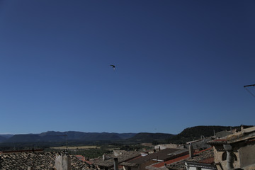 Fototapeta na wymiar Swallows over Spanish village, northern Spain