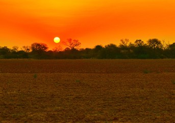 Atardecer de Campo