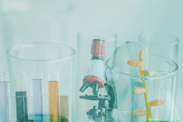 microscope and Laboratory glassware or test tube . science concept.