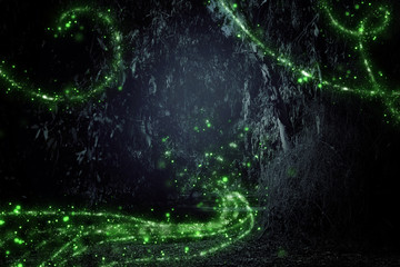 Abstract and magical image of Firefly flying in the night forest. Fairy tale concept.