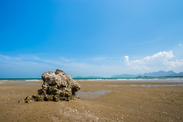 Fototapeta na wymiar beach and blue sky background