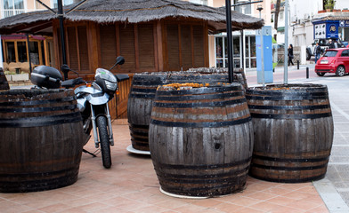 wooden barrels for wine