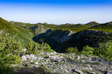 Landscape rocky mountains national park 