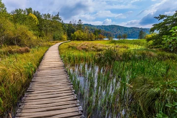 Fotobehang Bospad  Wooden flooring for tourists  © Kushnirov Avraham