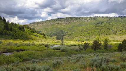Fototapeta na wymiar Uinta Wasatch national forest landscape in Utah