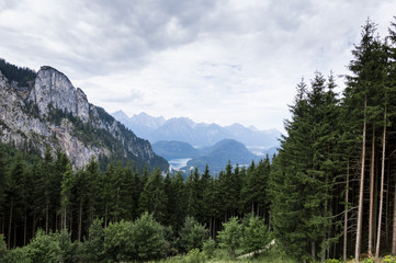 Fototapeta premium Ausblick vom Tegelberg in den Alpen