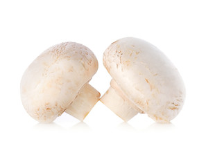 Champignon Isolated on a white Background