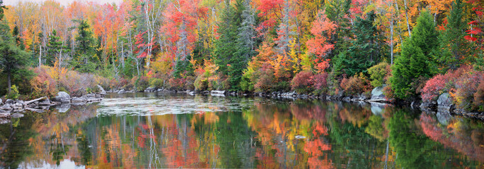 Bright autumn tree reflections in Vermont