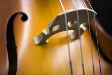 Upright bass