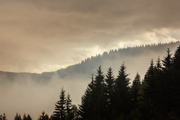 Summer mountain scenery with mist clouds, at sunset