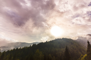 Summer mountain scenery with mist clouds, at sunset