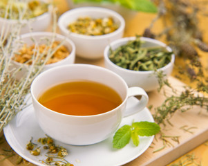 Alternative Medicine. Herbal Therapy. Infusion of healing plants.