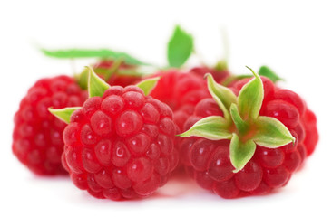 Ripe red raspberries.
