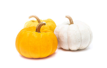 Pumpkin with stem isolated on white background ready for halloween fancy festival decoration