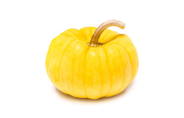 Pumpkin with stem isolated on white background ready for halloween fancy festival decoration