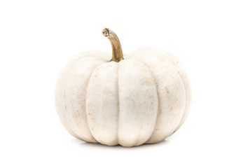 White pumpkin with stem isolated on white background ready for halloween fancy festival decoration - obrazy, fototapety, plakaty