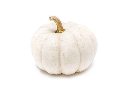 White pumpkin with stem isolated on white background ready for halloween fancy festival decoration