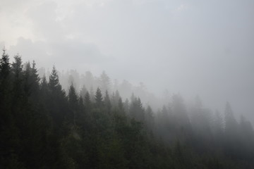 fog in mountains