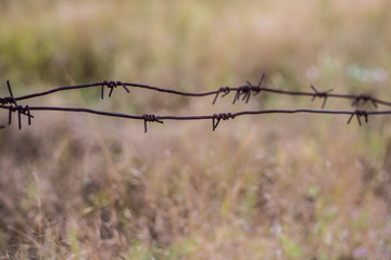 barbed wire in the background